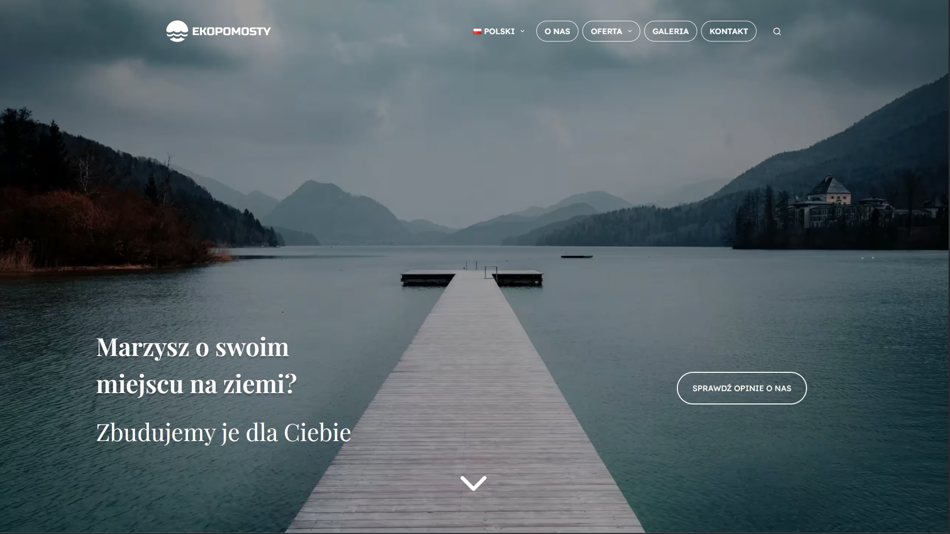 Obraz przedstawiający Hero Page w realizacji strony internetowej Barmanów na wynos