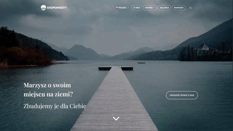 Obraz przedstawiający stronę główną