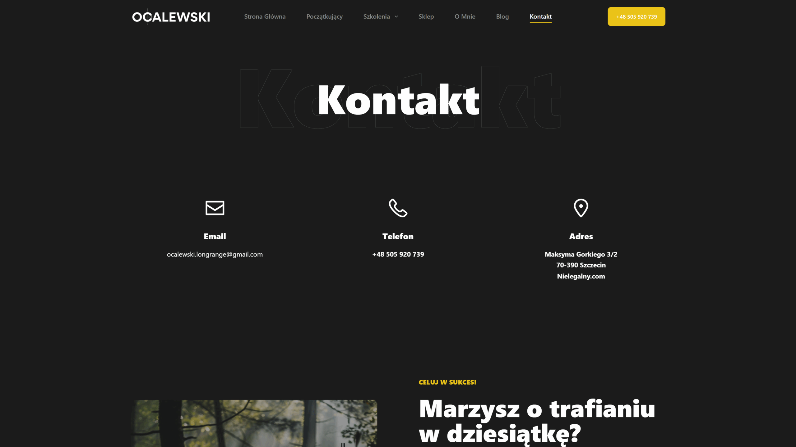 Obraz prezentujący stroną kontaktu - dane teleadresowe